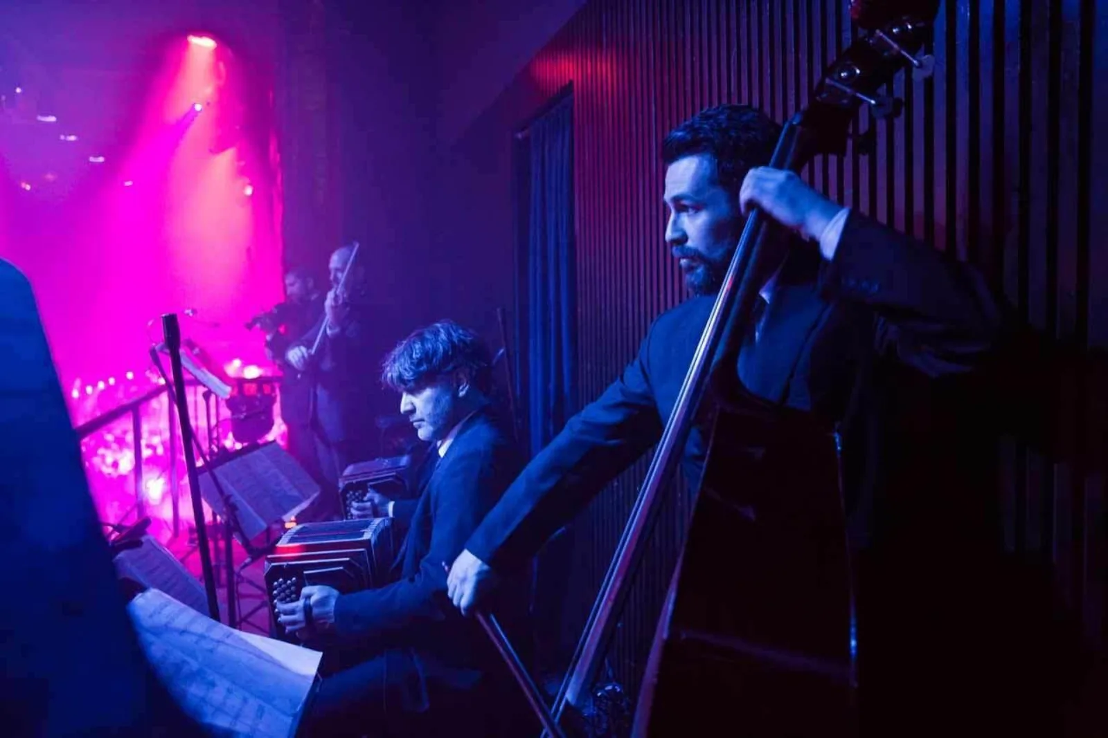 A double bass player and musicians performing live at Madero Tango in magenta light